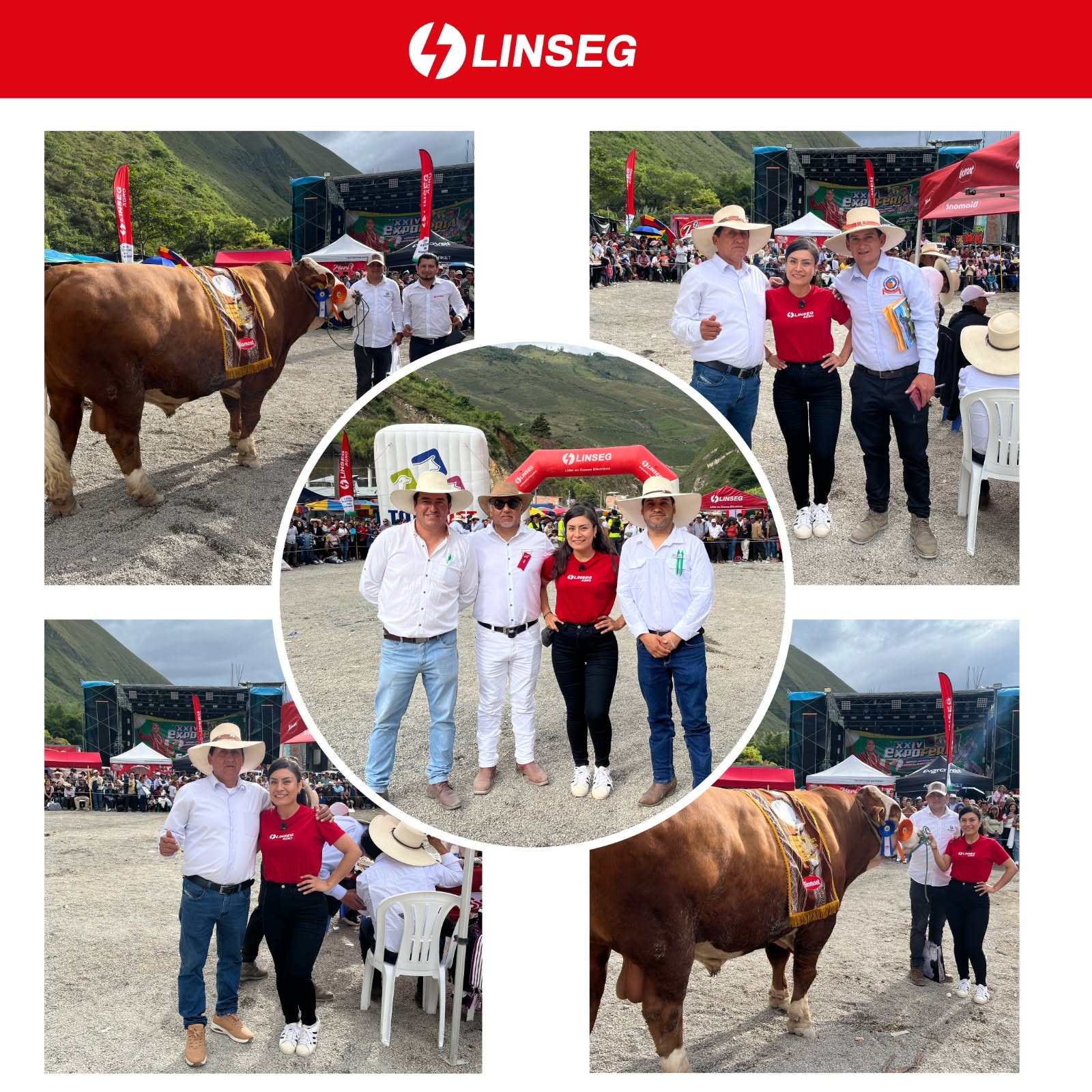 Imagen 4