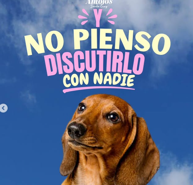 Imagen 4